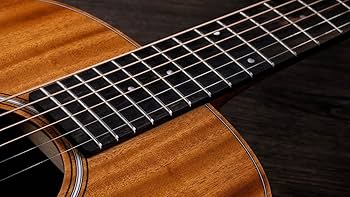 Amazon | Taylor GS Mini-e Mahogany ミニエレアコギター